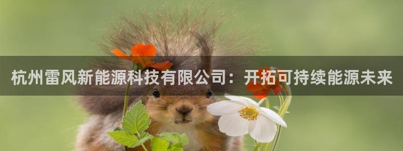 sunbet官网代理下载