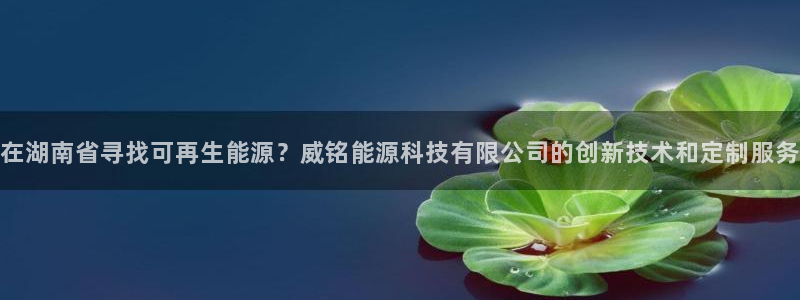 sunbet苹果官网下载