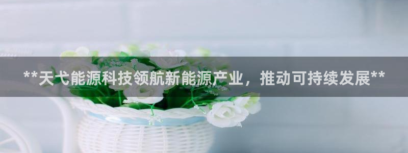 申博官方网站手机版下载