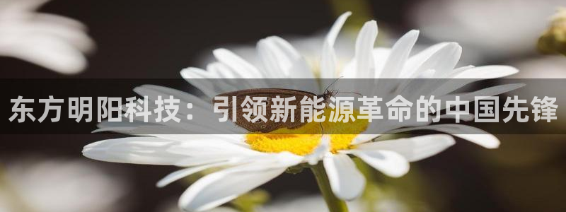 sunbet苹果官网下载