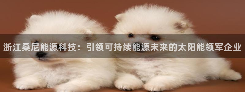 sunbet首页登录入口