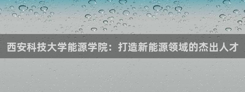 申博手机版官网