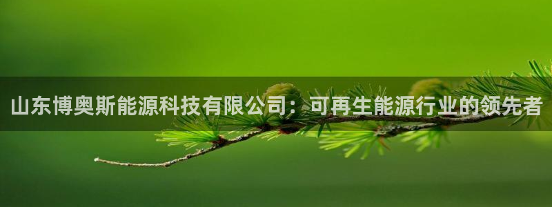 申博官网电脑版下载