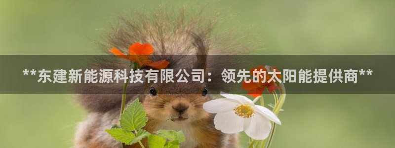 申博手机版官网