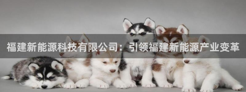 申博官网电脑版下载