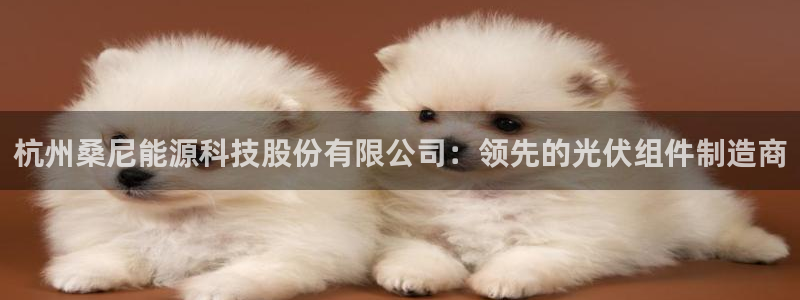 sunbet官网代理下载