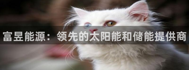 sunbet线上真人手机版