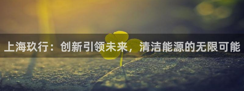sunbet手机版官网下载