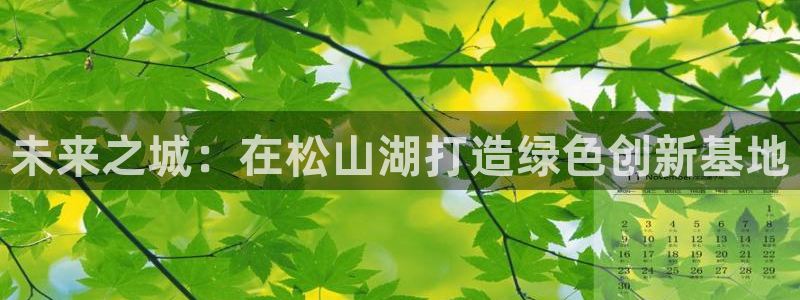 申博官方网站手机版下载