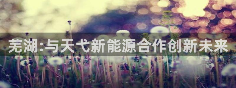 sunbet源码