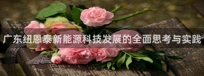 sunbething怎么读
