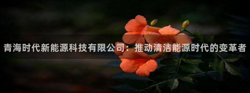 sunbet游戏地址
