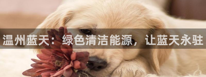 sunbet苹果官网下载