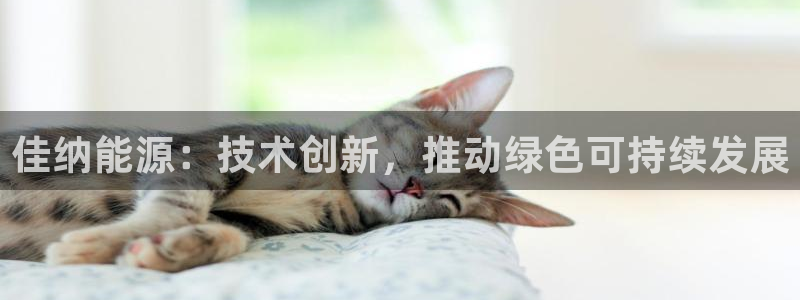 sunbet英语翻译