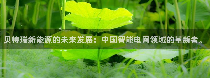 sunbet源码