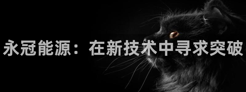 申慱sunbet手机版登