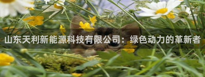 申博手机版官网