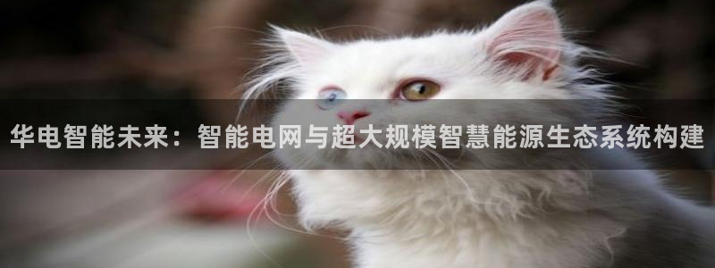 sunbet手机版官网下载