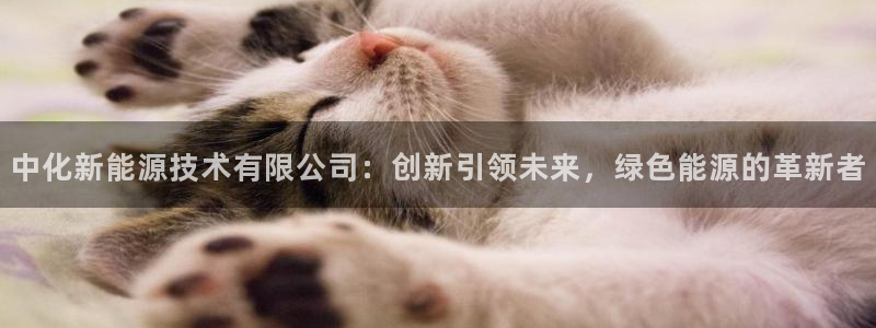 申博手机版官网