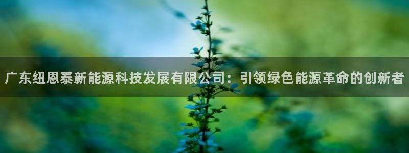 申博视讯