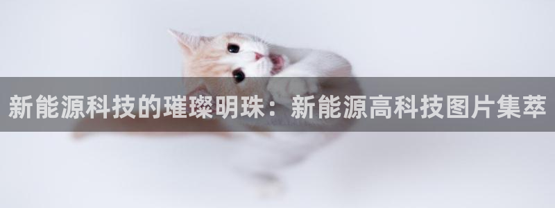 sunbet官网代理下载